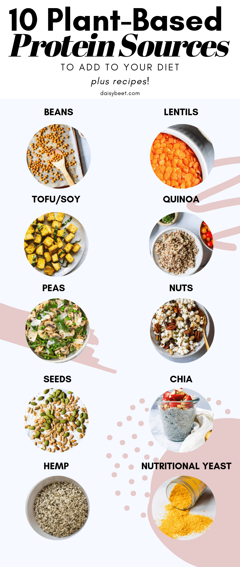 Protein Sources to Add Your Diet • Daisybeet