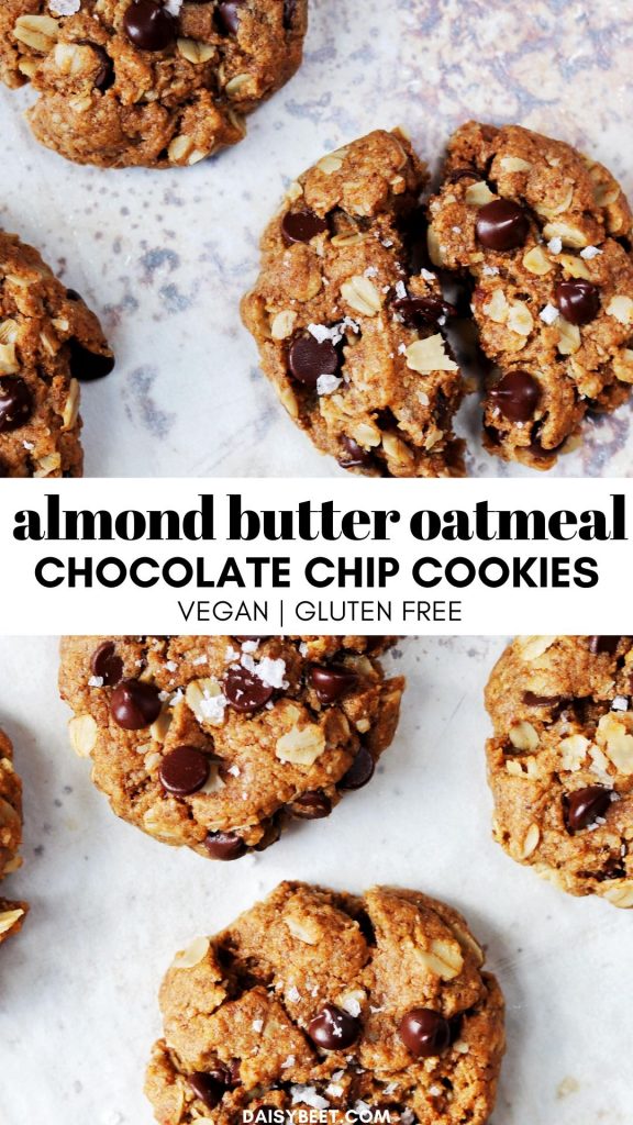 Almond Butter Oatmeal Chocolate Chip Cookie - Daisybeet