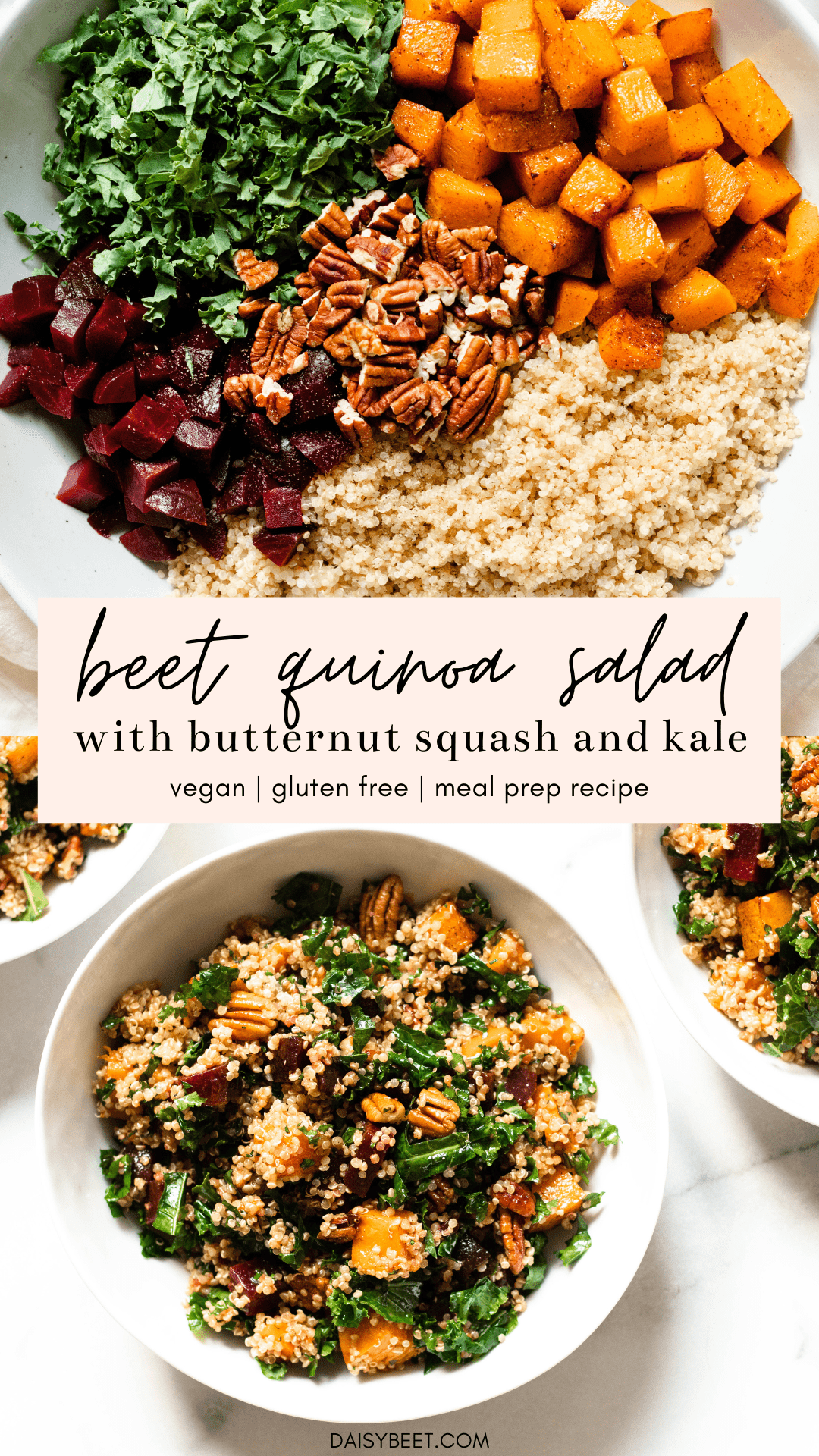 Beet Quinoa Salad with Butternut Squash, Kale, and Pecans • Daisybeet