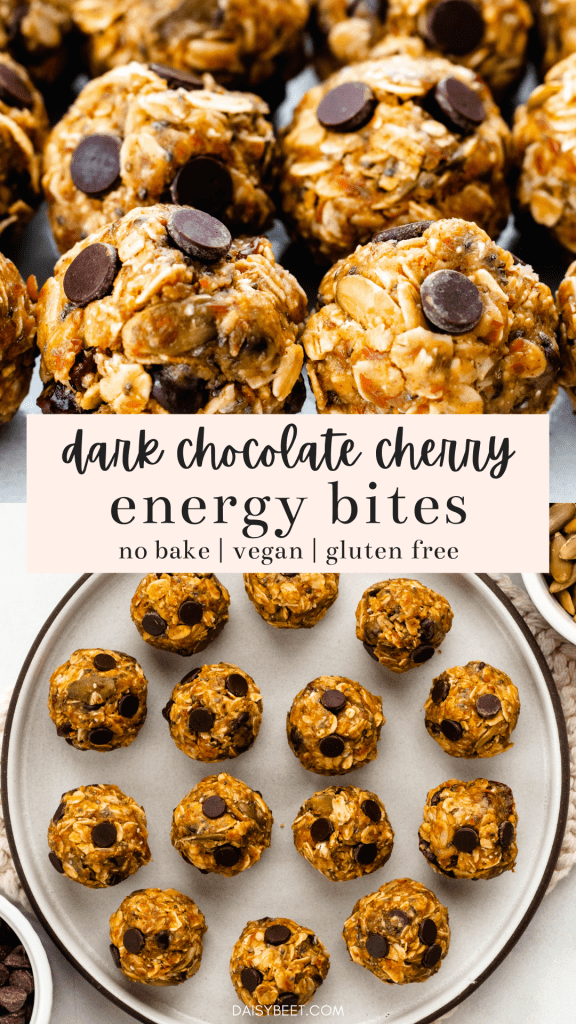 No Bake Dark Chocolate Cherry Energy Bites | Alex Aldeborgh, Daisybeet, MS, RD