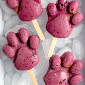 4 purple popsicles shaped like paws in a white baking dish filled with ice cubes