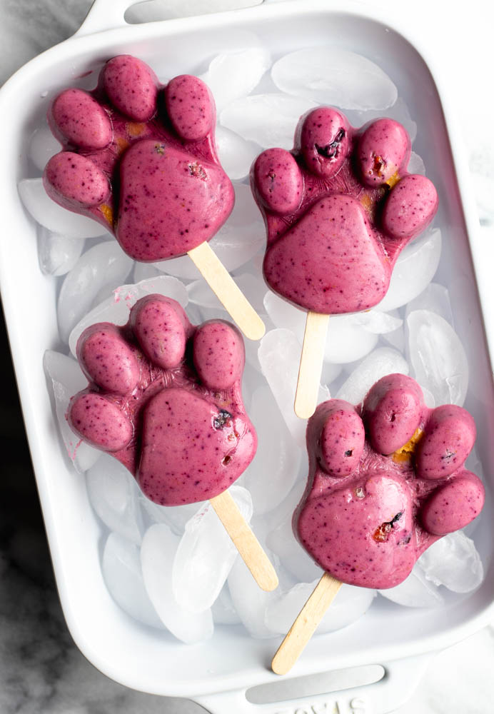 The BEST Pupsicles Recipe (Dog Popsicles!)