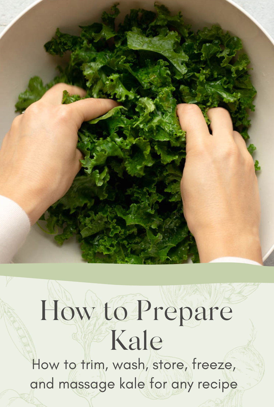 How to Prepare Kale Wash, Store, Freeze, and Massage Kale • Daisybeet