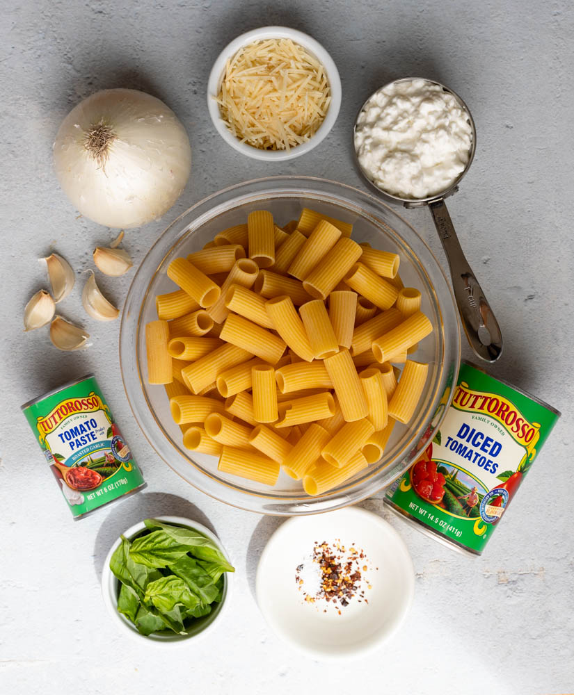 Creamy Blended Cottage Cheese Pasta Sauce • Daisybeet