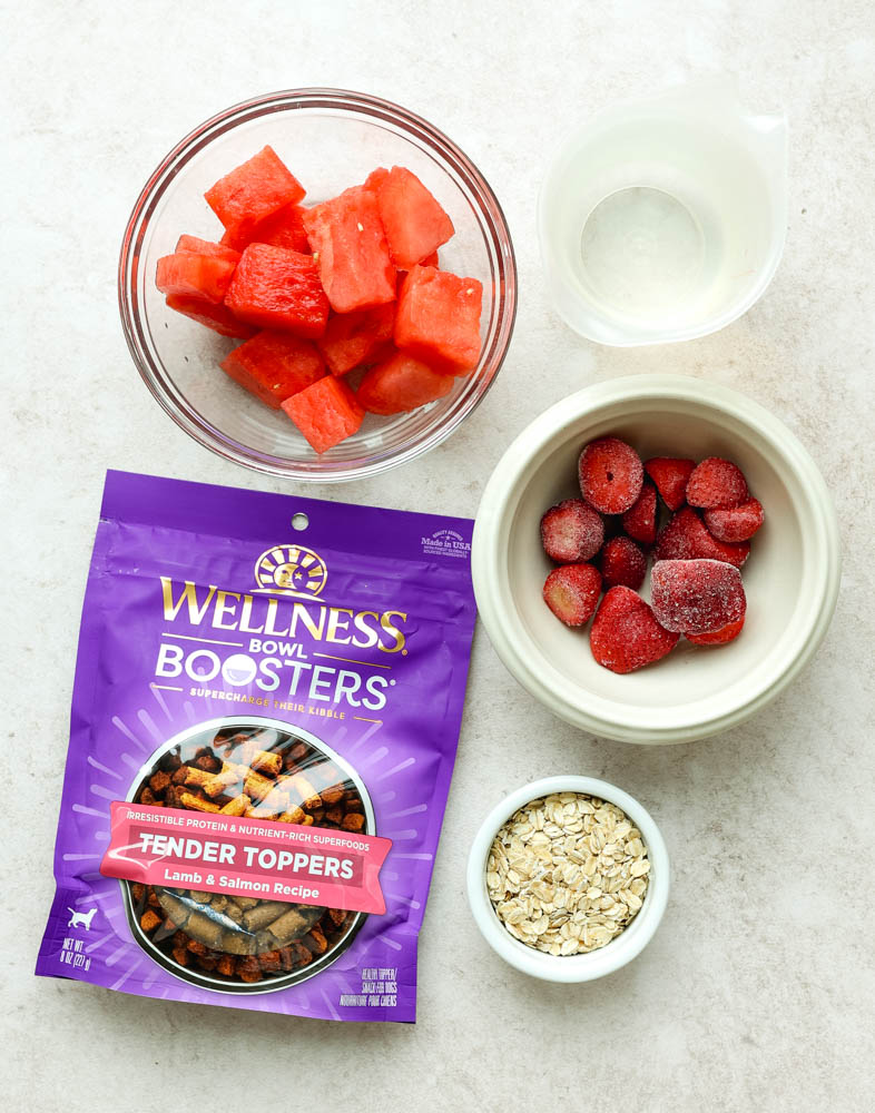 Homemade Frozen Watermelon Dog Treats (Pupsicles) • Daisybeet