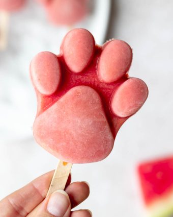 hand holding a watermelon dog popsicle